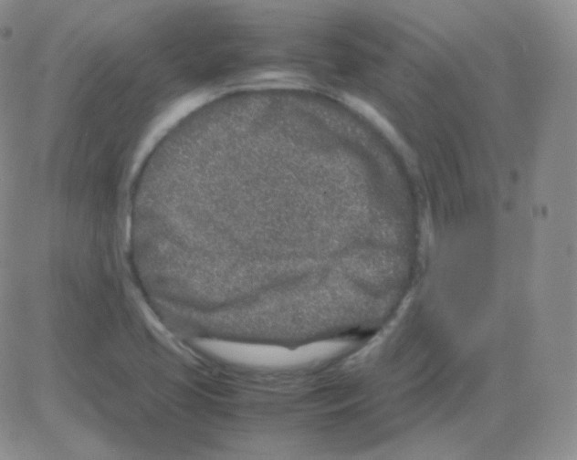 X0000082701413200702232218