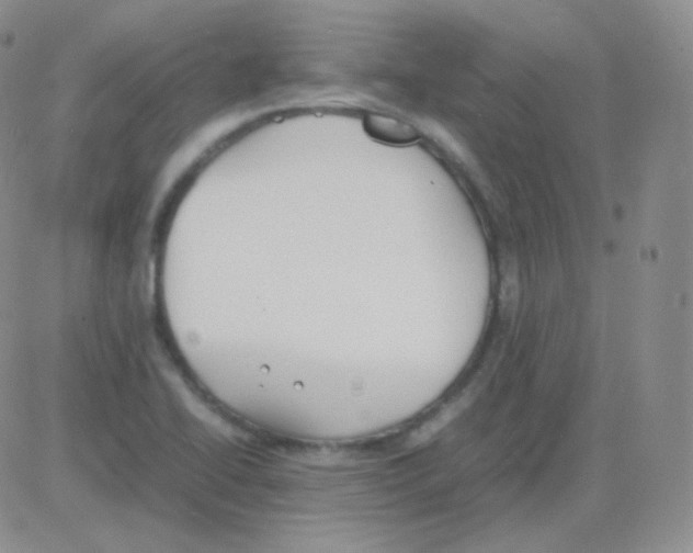 X0000082701414200702232218