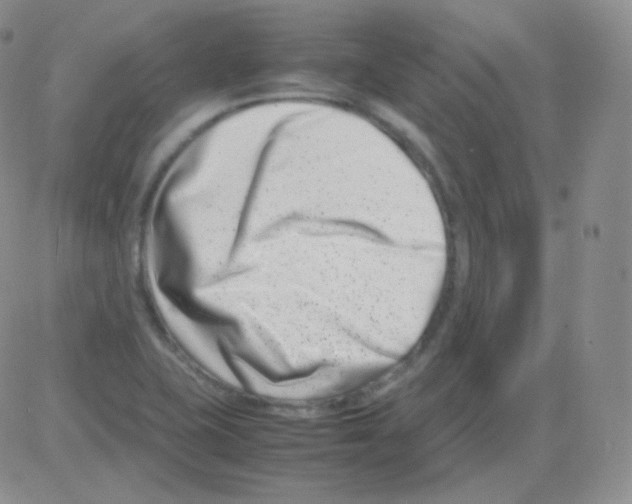 X0000082701415200702232218