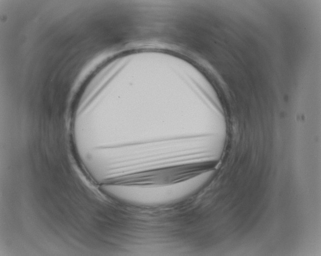 X0000082701416200702232218