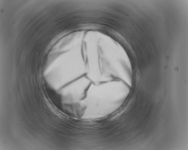 X0000082701417200702232218