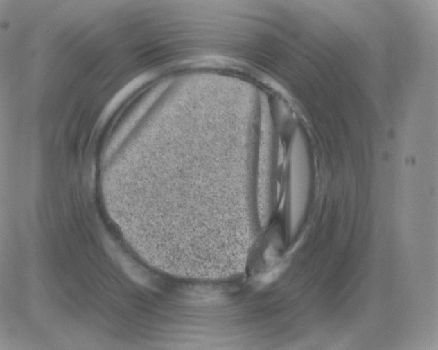 X0000082701418200702232218