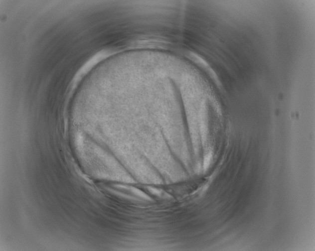 X0000082701419200702232218