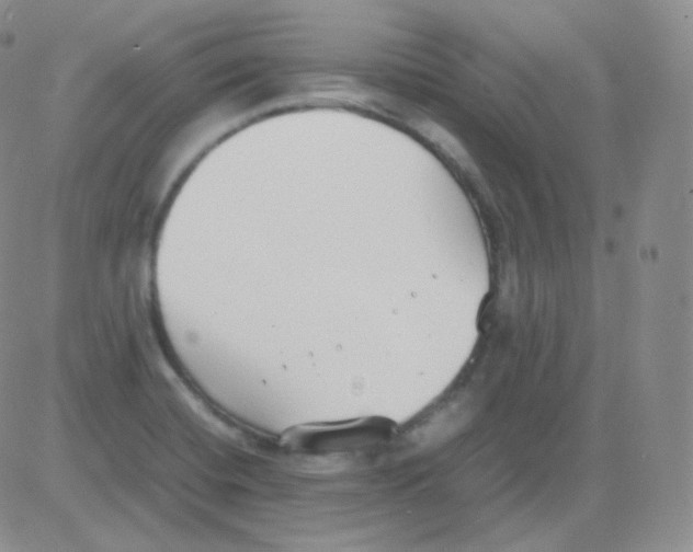 X0000082701420200702232218