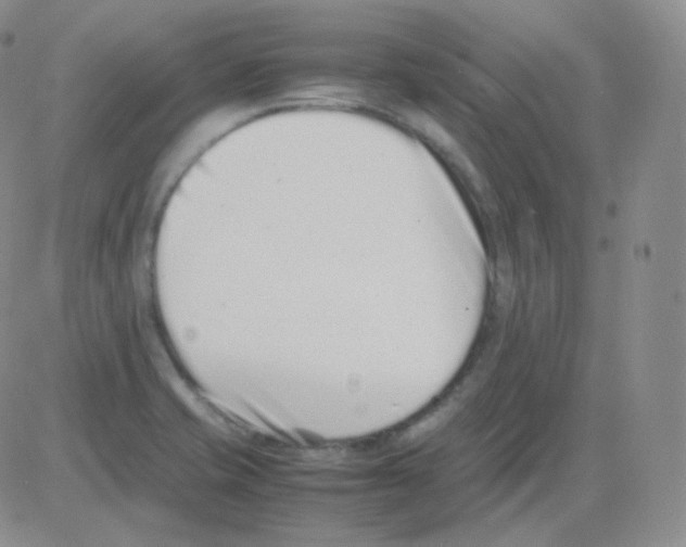 X0000082701421200702232218