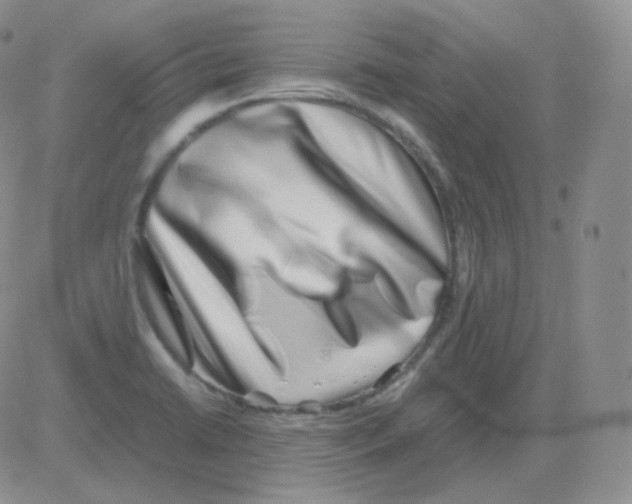 X0000082701422200702232218