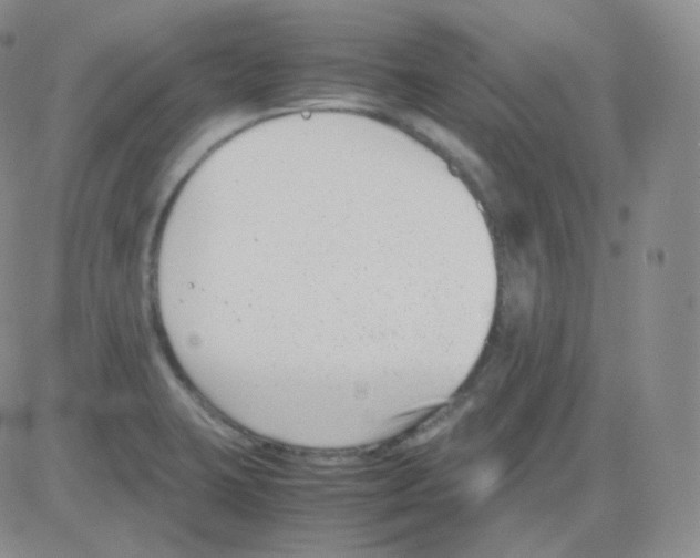 X0000082701423200702232219