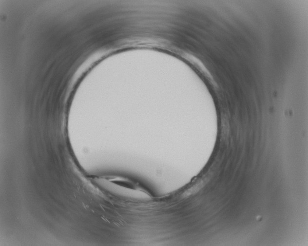 X0000082701424200702232219