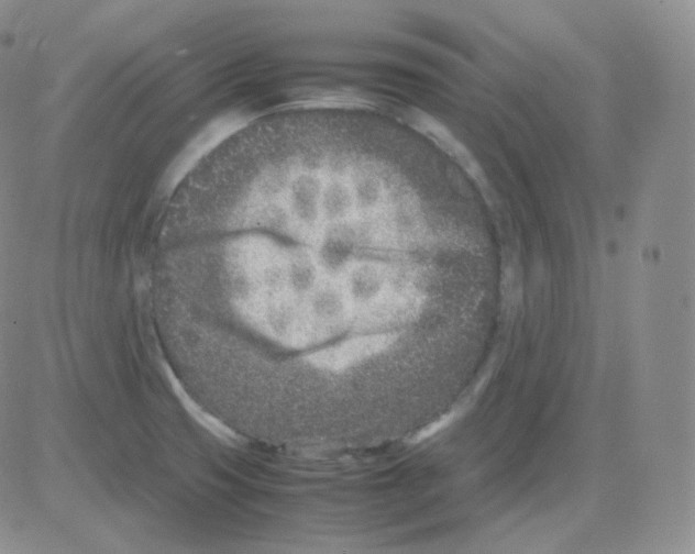 X0000082701425200702232219