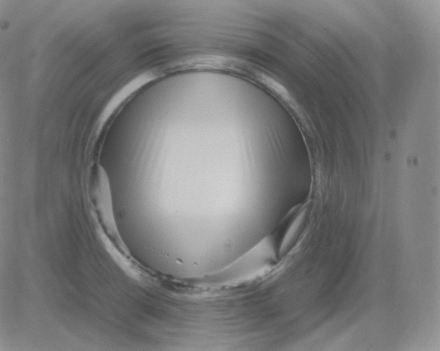 X0000082701426200702232219