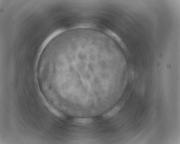 X0000082701427200702232219