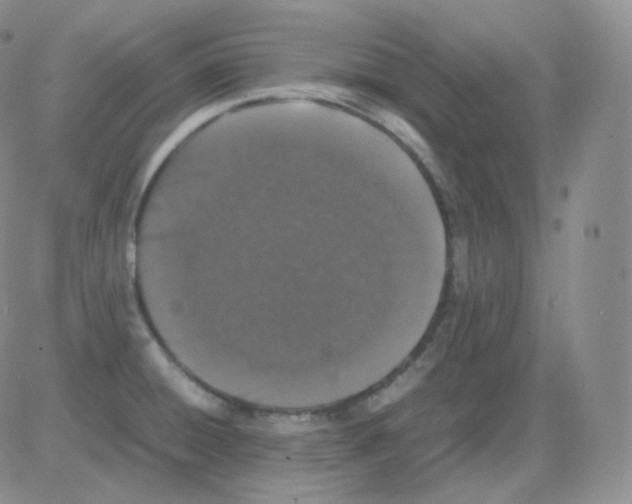 X0000082701428200702232219