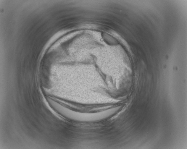 X0000082701429200702232219