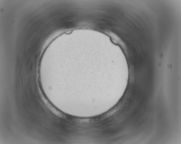 X0000082701431200702232219