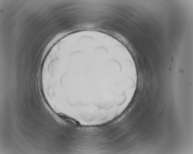 X0000082701432200702232219