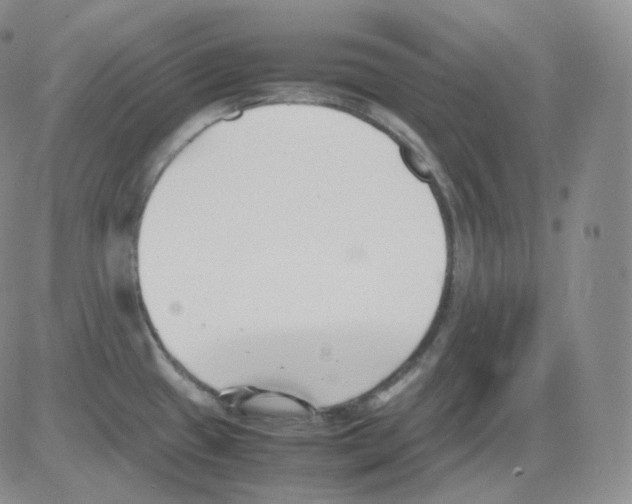 X0000082701433200702232219