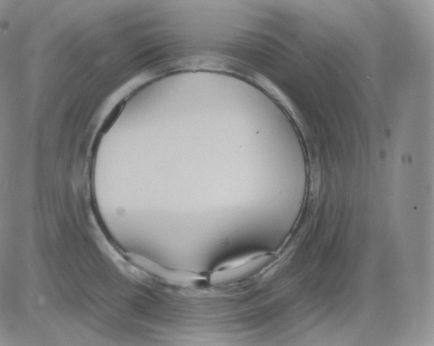 X0000082701434200702232219