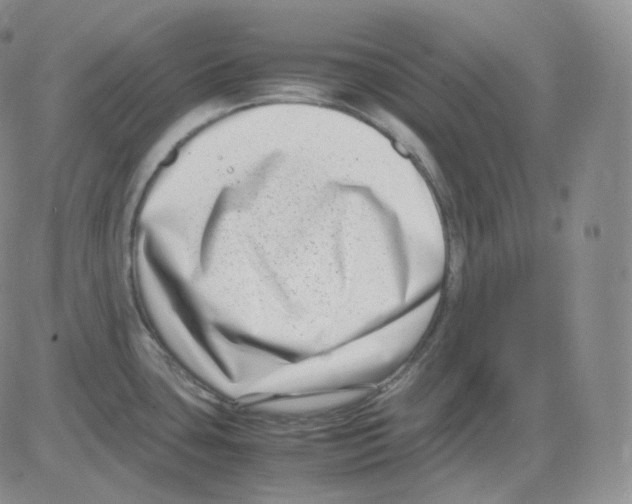 X0000082701435200702232219