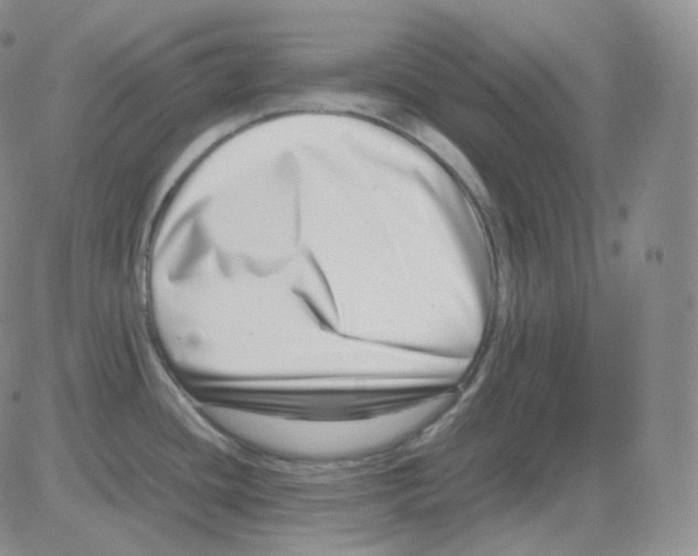 X0000082701436200702232219