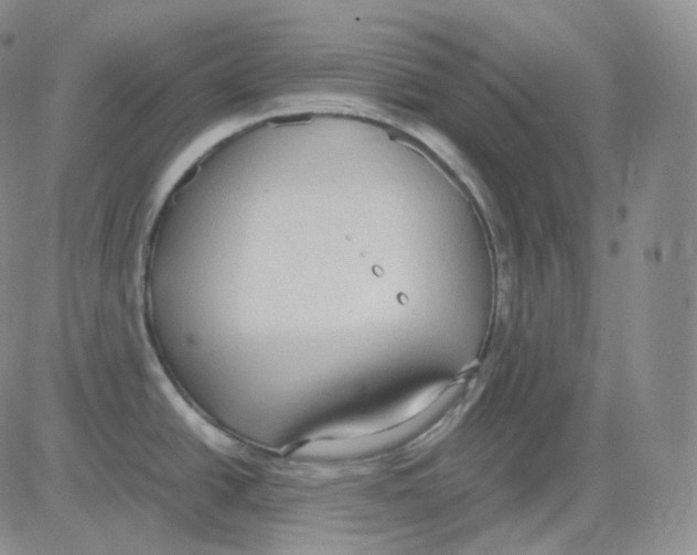 X0000082701438200702232219