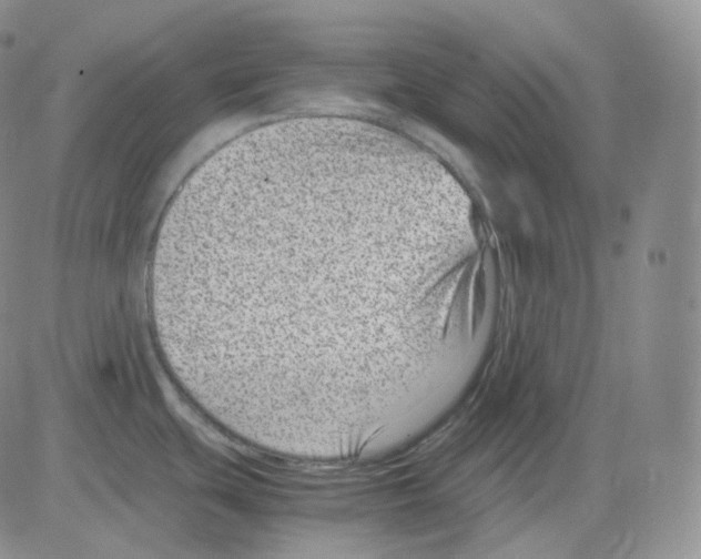 X0000082701439200702232219