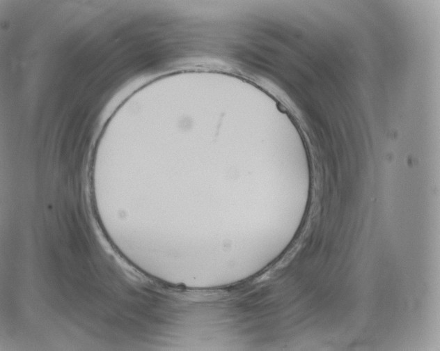 X0000082701440200702232219