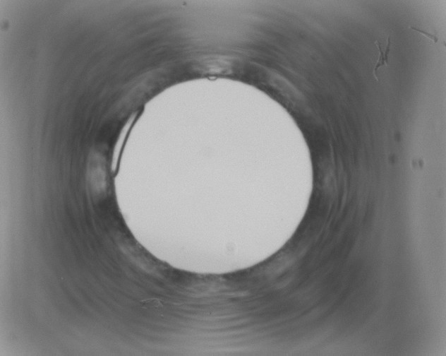 X0000082701442200702232218