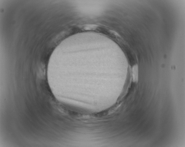 X0000082701443200702232218