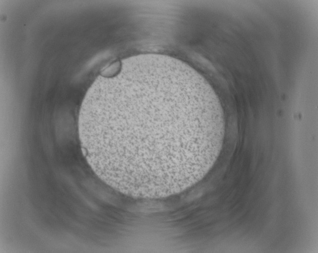 X0000082701446200702232218