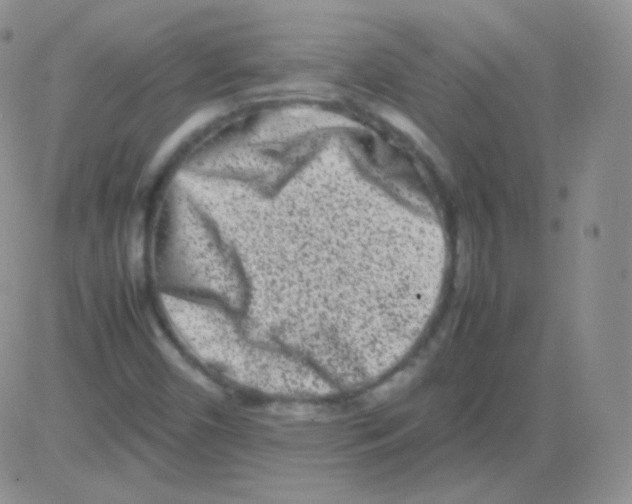 X0000082701450200702232218