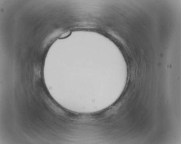 X0000082701451200702232218