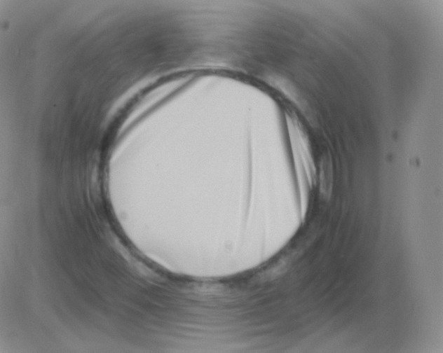 X0000082701452200702232218