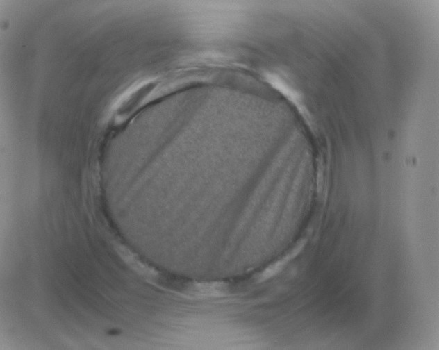 X0000082701453200702232218