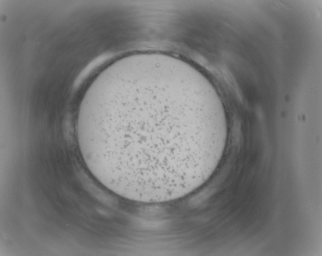 X0000082701454200702232218