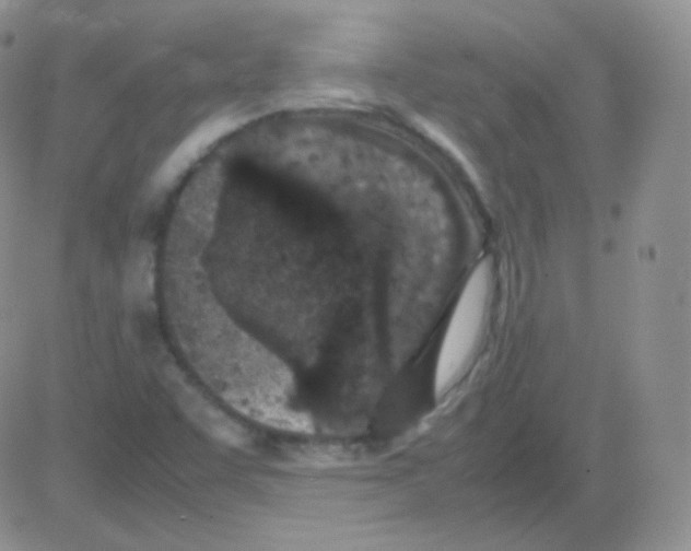 X0000082701455200702232218