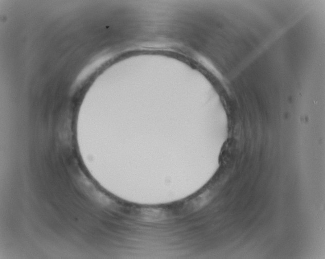 X0000082701456200702232218