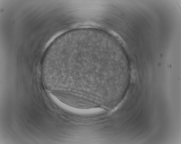 X0000082701457200702232218