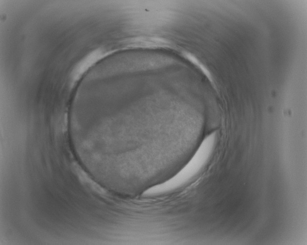 X0000082701459200702232218