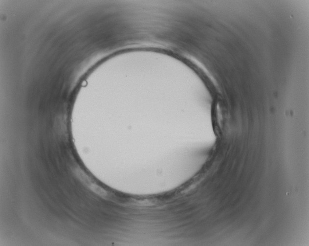 X0000082701460200702232218