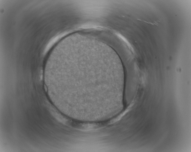 X0000082701461200702232218