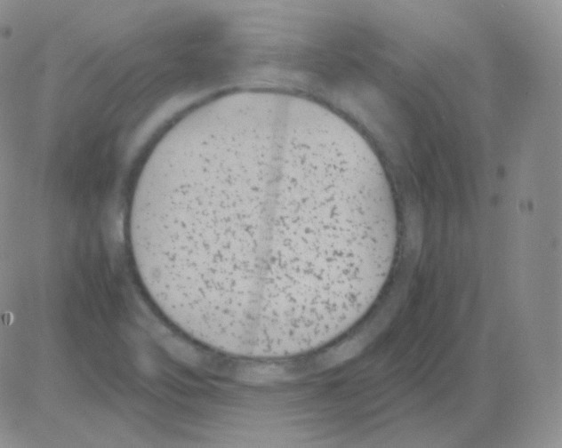 X0000082701462200702232218