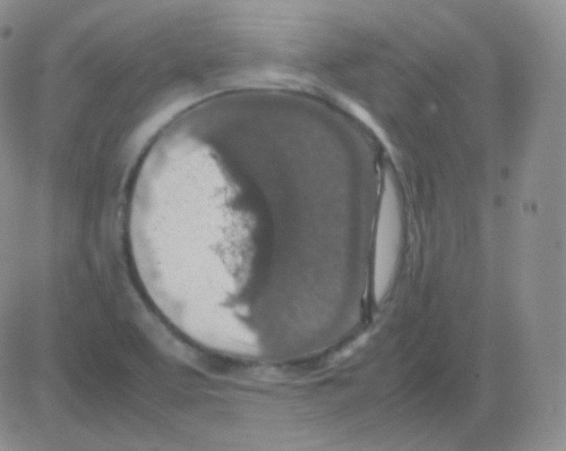 X0000082701463200702232218