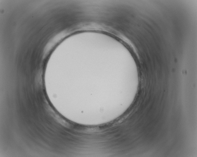 X0000082701464200702232218