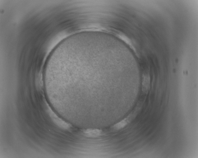 X0000082701466200702232218