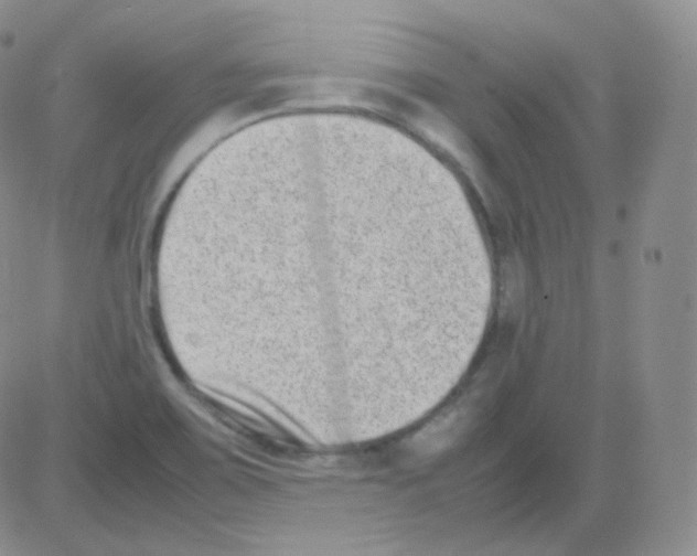 X0000082701467200702232218