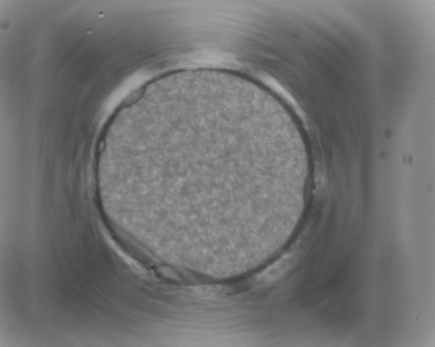 X0000082701469200702232218