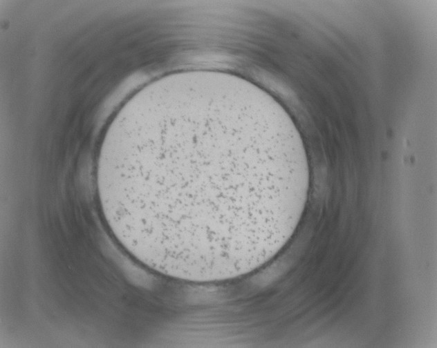 X0000082701470200702232218