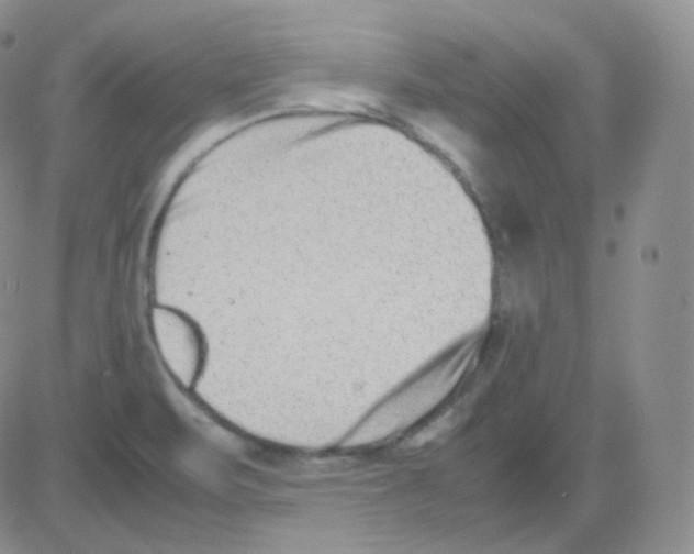 X0000082701471200702232218