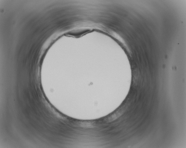 X0000082701472200702232217