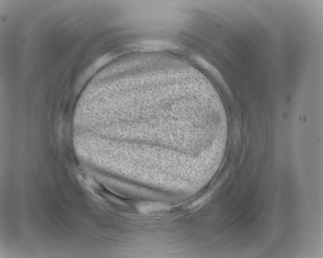 X0000082701473200702232217